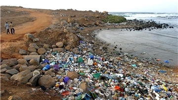 Zahlreiche Küsten sind von Plastikmüll verschmutzt. Doch der Müll ist längst auch unterhalb der Wasseroberfläche angekommen.