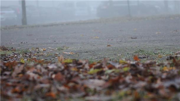 Zeitweise steuern mehr Fahrzeuge die KGS Tarmstedt an, als Plätze zur Verfügung stehen. Deshalb wünscht die Schule sich eine Tbs: tfErweiterung der Parkfläche um 20 Plätze im Bereich neben beziehungsweise hinter der Gymnastikhalle.
