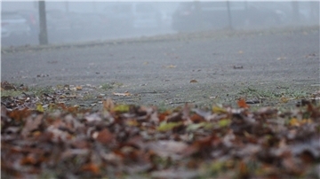 Zeitweise steuern mehr Fahrzeuge die KGS Tarmstedt an, als Plätze zur Verfügung stehen. Deshalb wünscht die Schule sich eine Tbs: tfErweiterung der Parkfläche um 20 Plätze im Bereich neben beziehungsweise hinter der Gymnastikhalle.