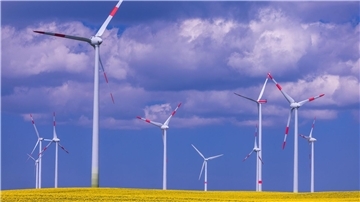 Windkraft im Cuxland