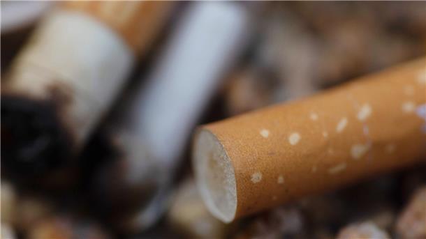 Studie: 1,6 Milliarden Zigaretten auf Schwarzmarkt verkauft Zigarettenkippen liegen in einem Aschenbecher.