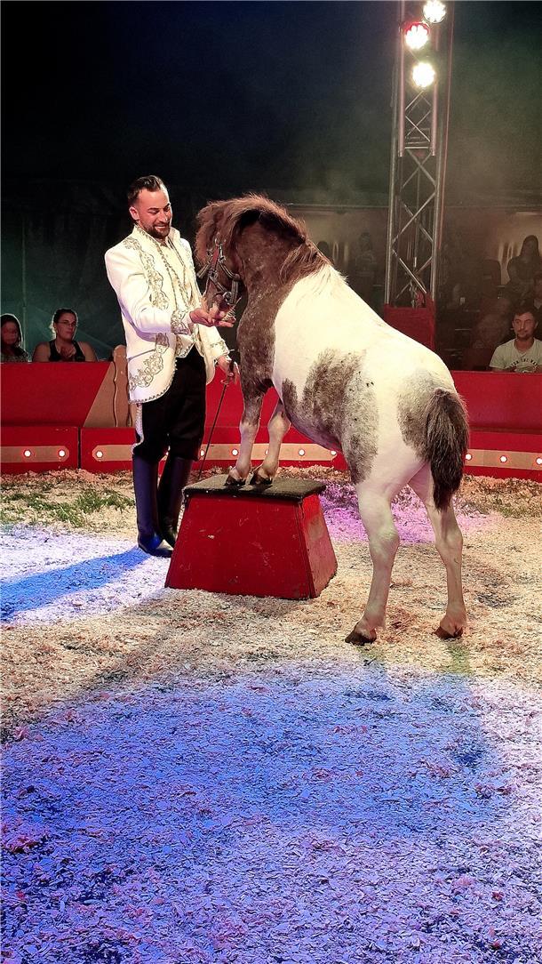 Zirkus Fantastico
