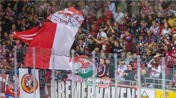 Zu den Heimspielen der Fischtown Pinguins kamen bisher im Schnitt 3.638 Zuschauer.