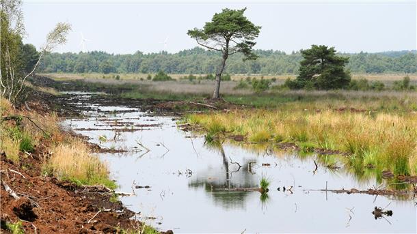 Moorfläche steht unter Wasser