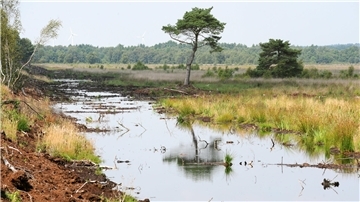 Moorfläche steht unter Wasser