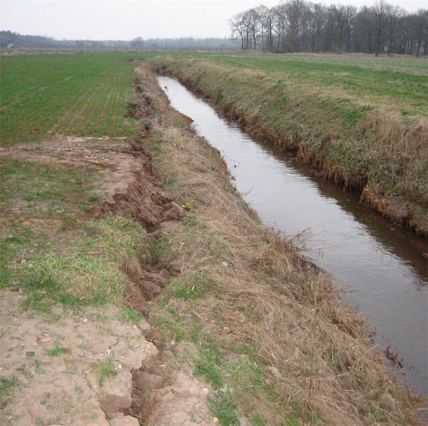 Genug Abstände bei Beackerung von Anliegerflächen an Wasserläufen Zu dicht geackert: Die Böschung der Otter im Bereich Byhusen sackt ab.