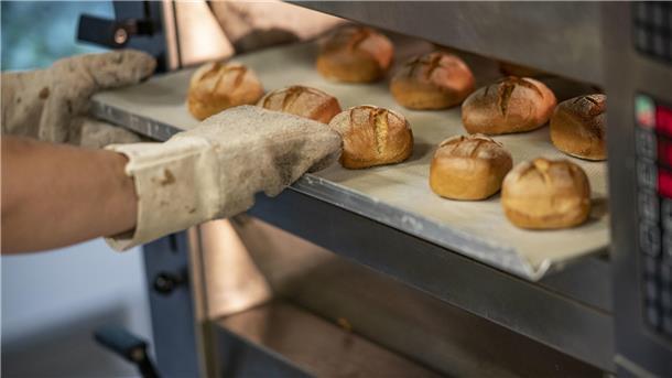 Ein Bäcker schiebt frische Brötchen in den Ofen.
