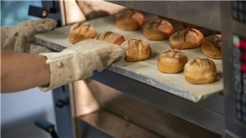 Ein Bäcker schiebt frische Brötchen in den Ofen.