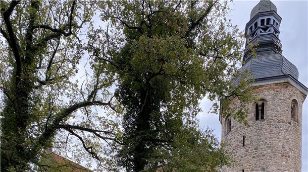 Turm der St.-Viti-Kirche in Zeven