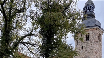 Turm der St.-Viti-Kirche in Zeven