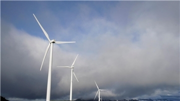 Zum 50-jährigen Bestehen der Internationalen Energieagentur steht die Notwendigkeit beschleunigter Anstrengungen für den Klimaschutz im Mittelpunkt.