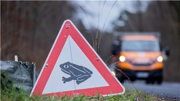 Zum Laichen wandern die Tiere meistens zu dem Gewässer, in dem sie selbst geboren sind (Archivbild).