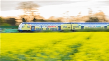 Eine Bahn von Metronom fährt am Morgen an einem blühenden Rapsfeld in der Region Hannover vorbei