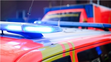 Zwei Männer retten sich aus ihrem zerstörten Auto, nachdem es gegen einen Baum geprallt war. (Symbolbild)