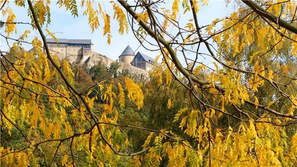 Bilder des Tages Zwischen dem Herbstlaub ist ein Schloss zu sehen.