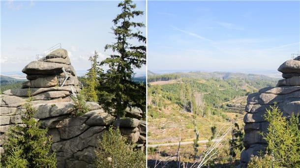 Zwischen den Fotos liegen etwa neun Jahre: Auf dem neueren Bild rechts wird das Baumsterben im Harz deutlich.